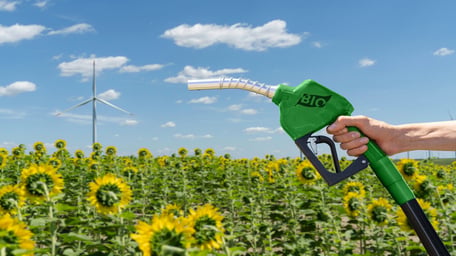 Skuld’s experiences on biofuels