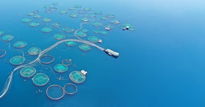 Aquaculture