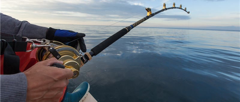 Man fishing on a big game fishing trip (picture)