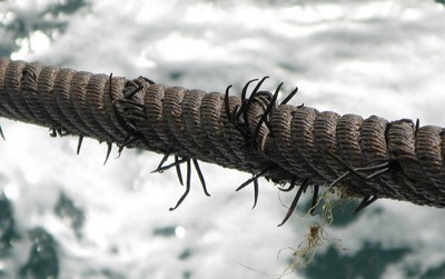 Metal wire rope failure - Skuld